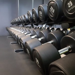 theosgym havelberg freihantelbereich.jpg